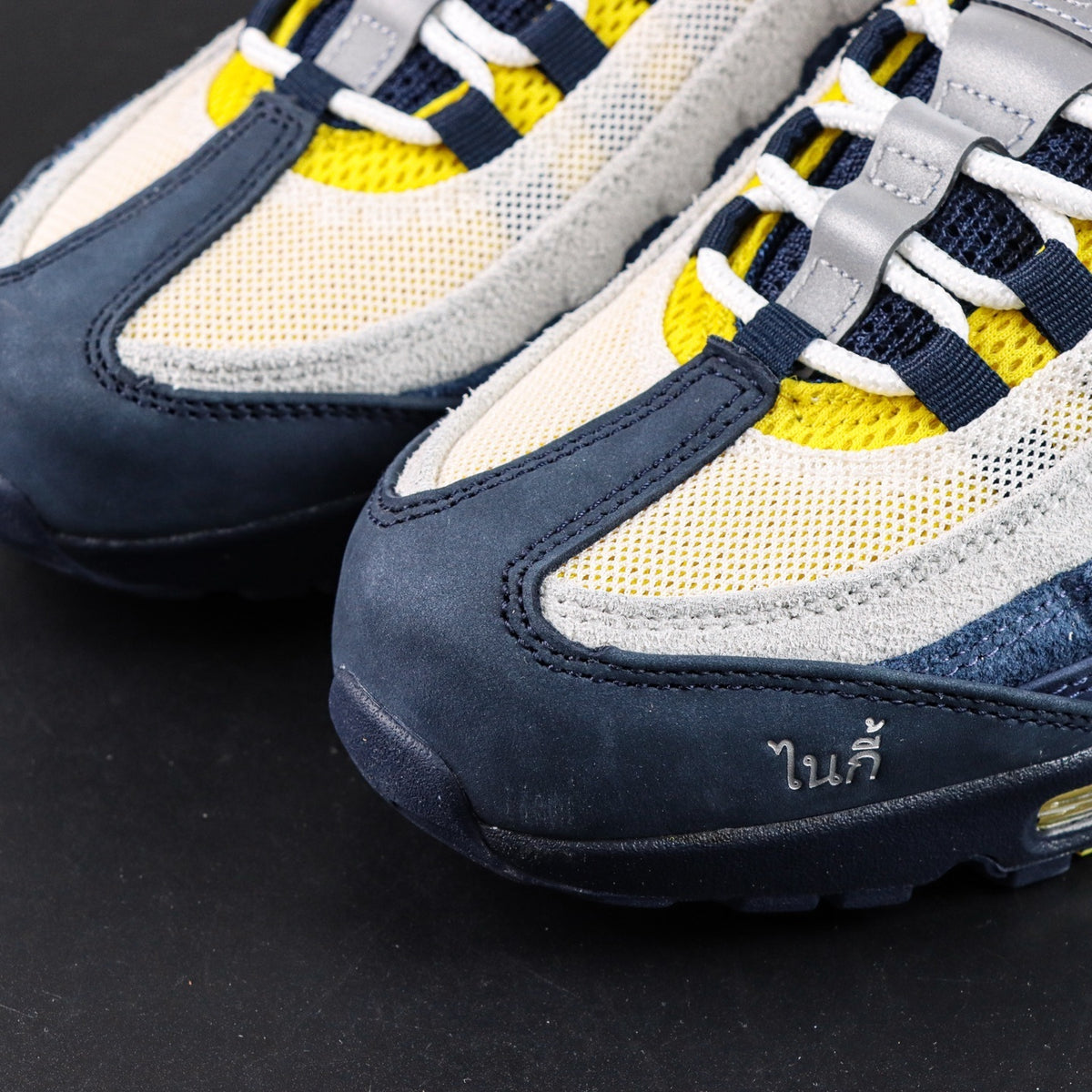 Nike Air Max 95 SB Eric Koston Obsidian Speed