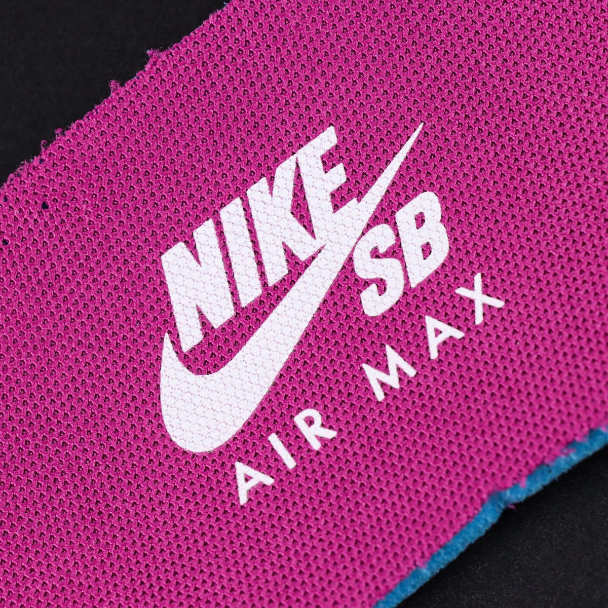 Nike Air Max 95 SB Cactus Flower