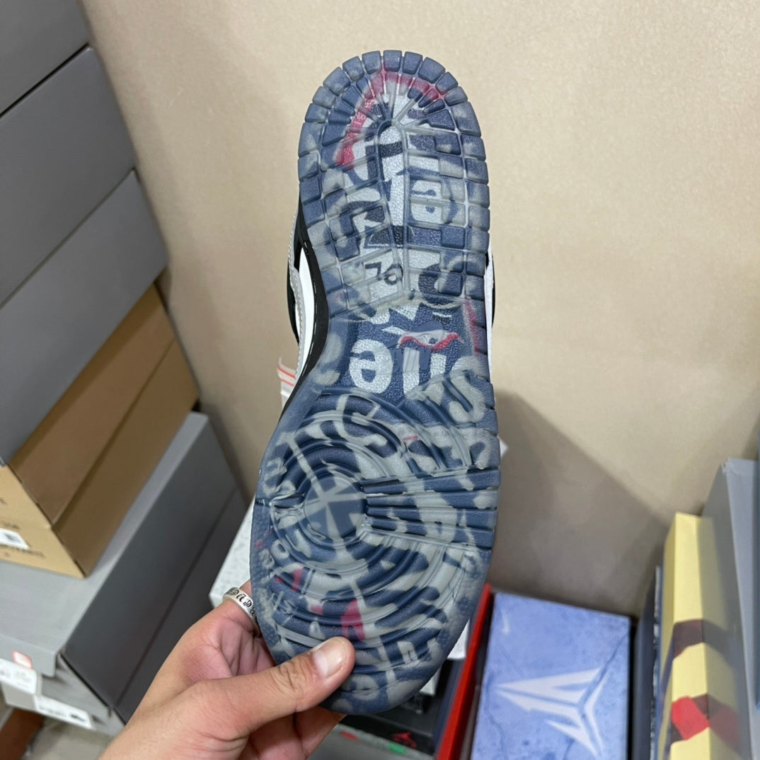 Nike Dunk Panda Pigeon