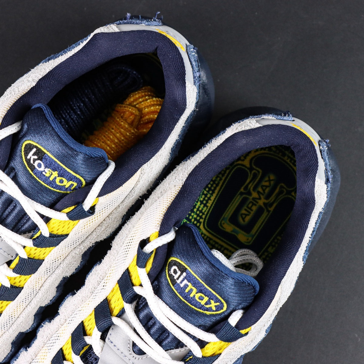 Nike Air Max 95 SB Eric Koston Obsidian Speed