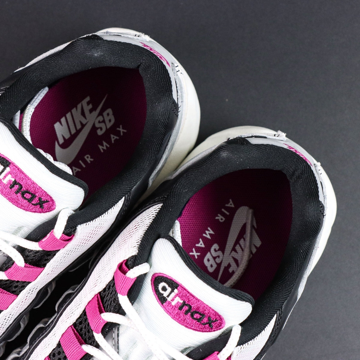 Nike Air Max 95 SB Cactus Flower