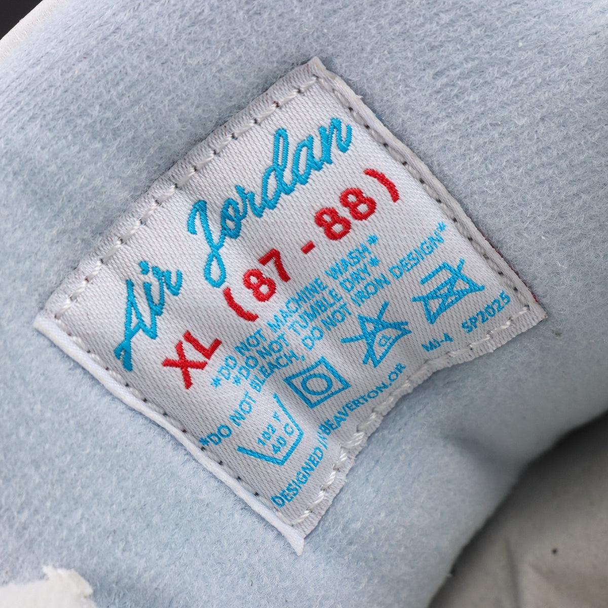 Air Jordan 3 Lucky Shorts